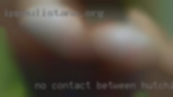 No contact in Hutchinson, Kansas now between males.